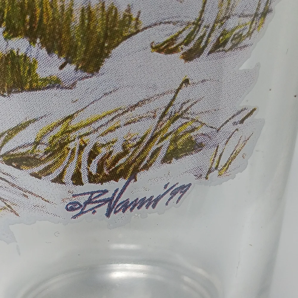 Budweiser Wildlife Collector Pint Glasses Set – Vintage Beer Glasses with Wildli